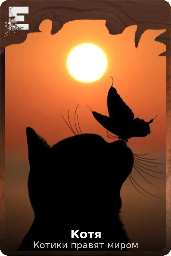 Котя