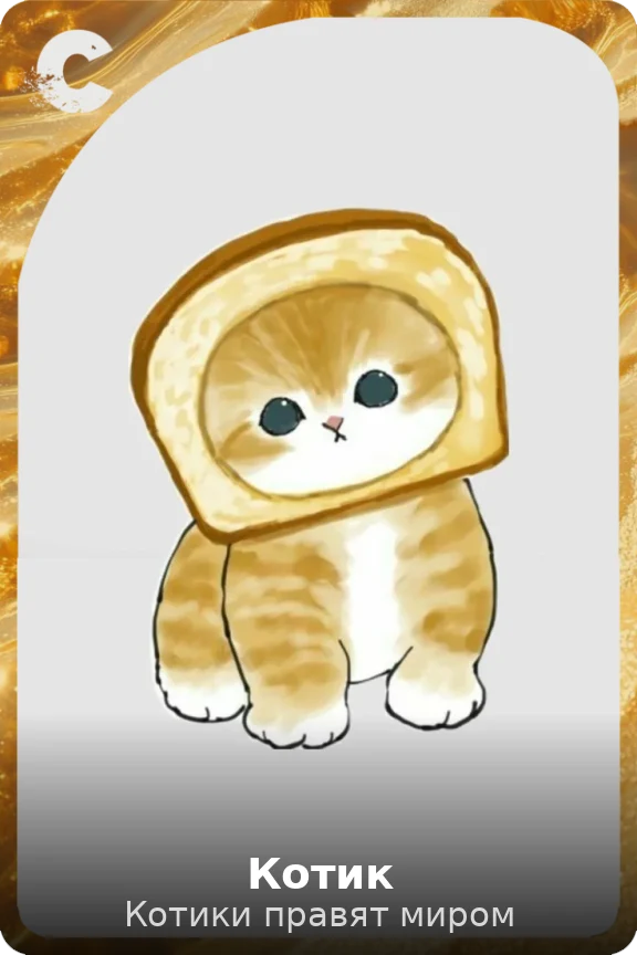 Котик