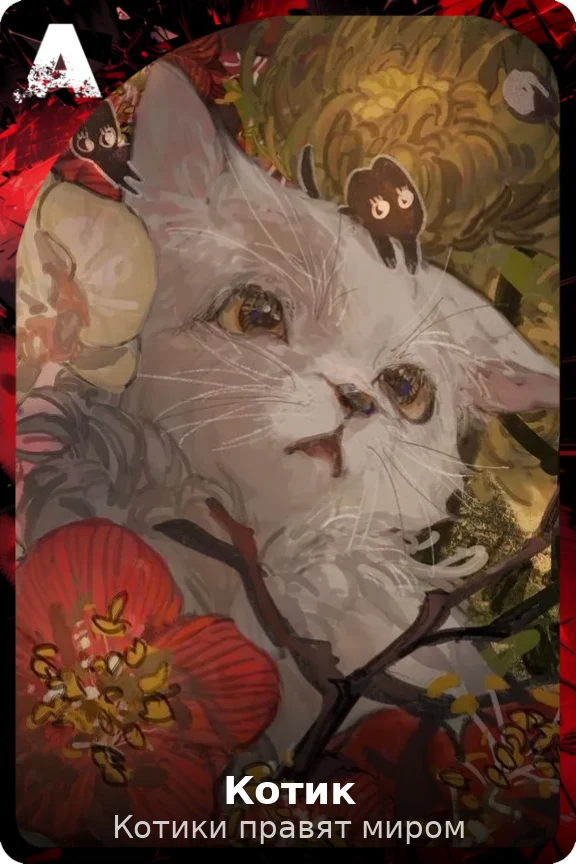Котик