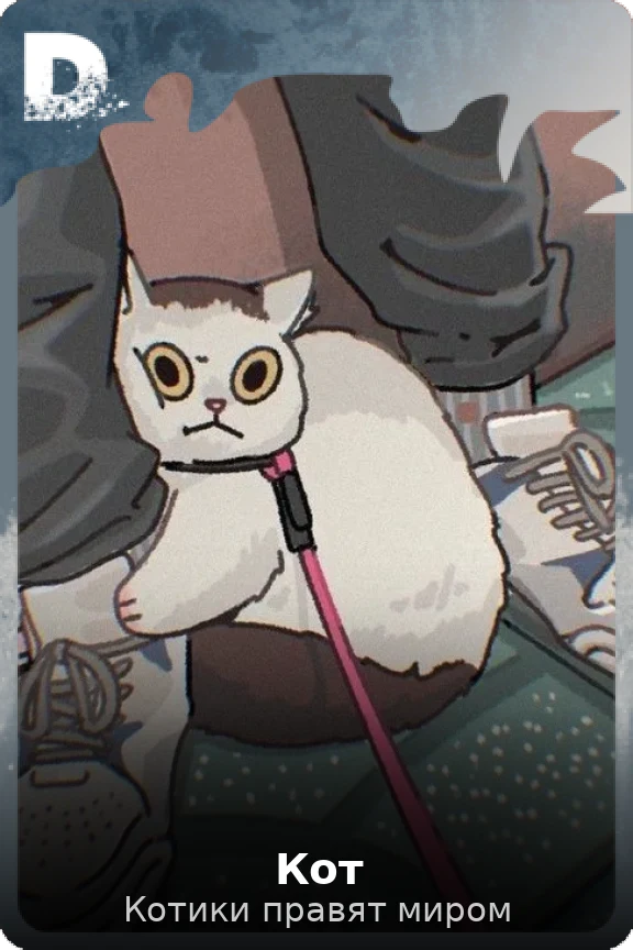 Кот