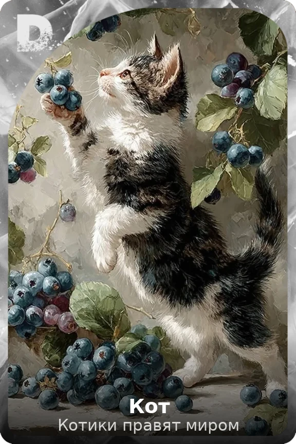 Кот