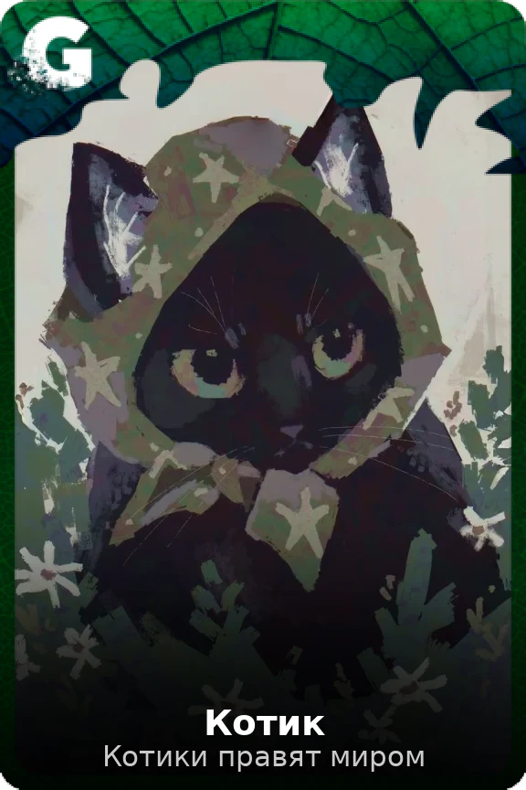 Котик