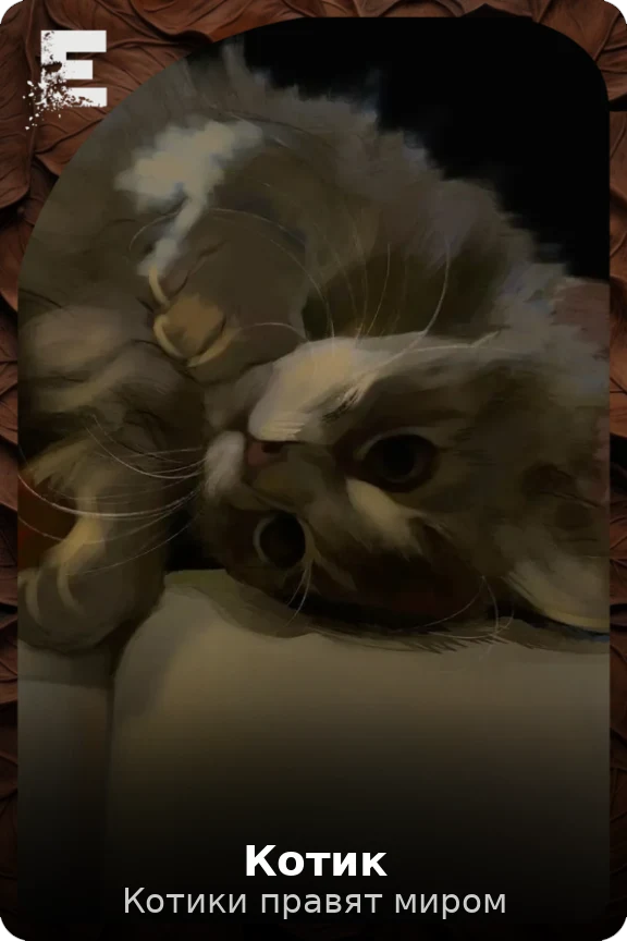 Котик