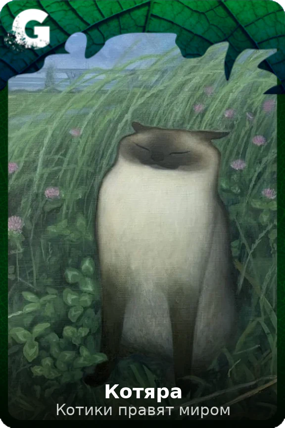 Котяра