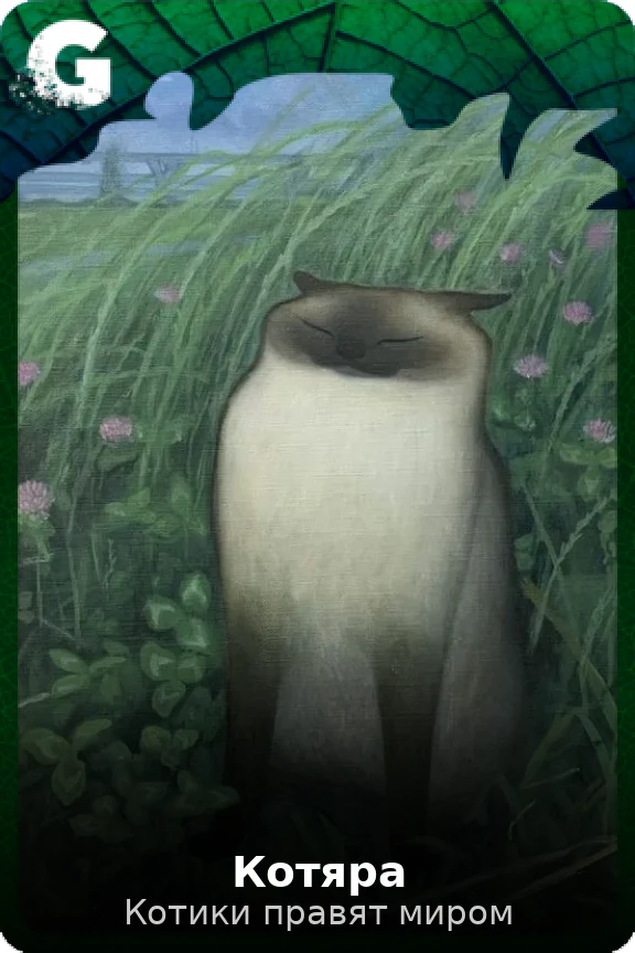 Котяра