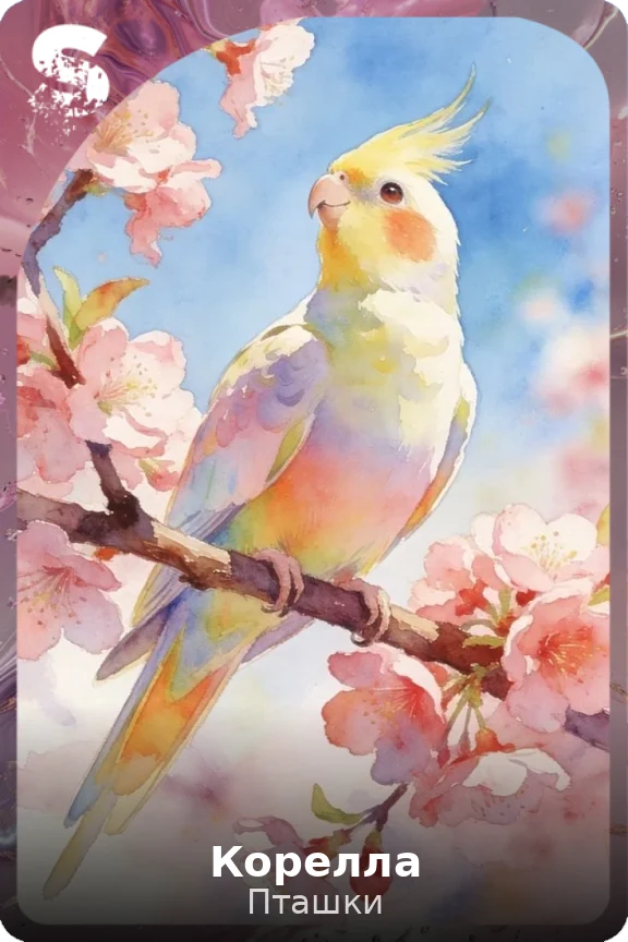 Корелла