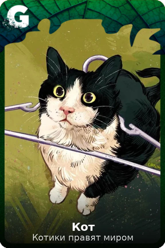 Кот