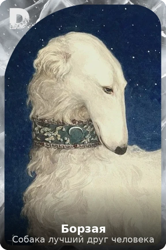 Борзая