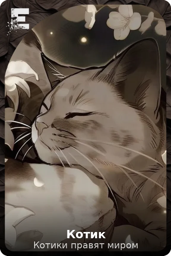Котик