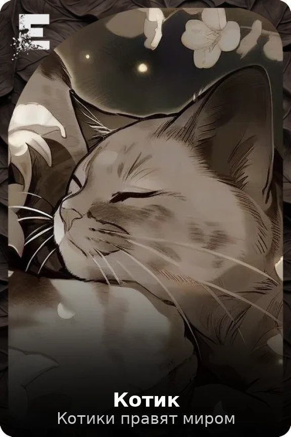 Котик