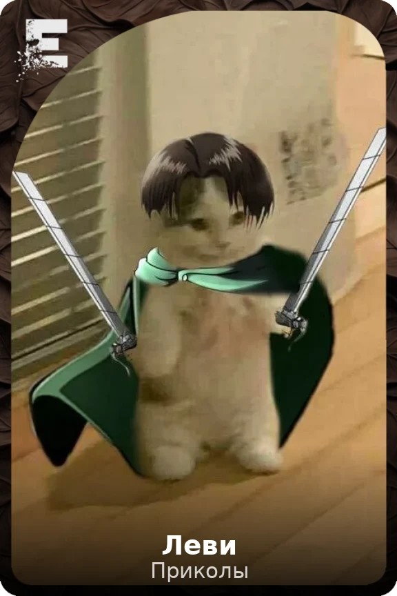 Леви