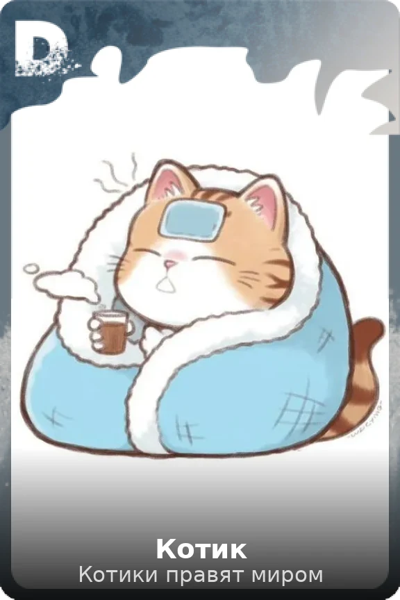 Котик