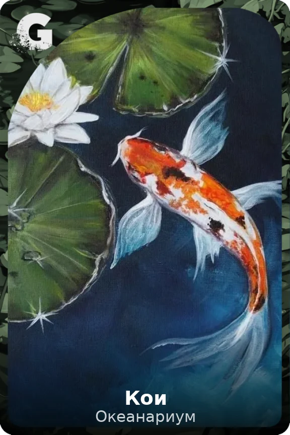 Кои