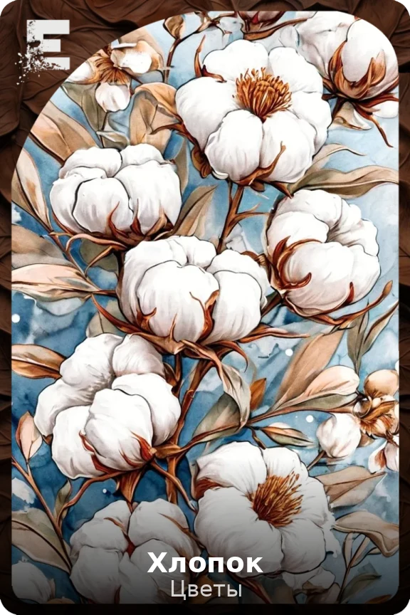 Хлопок