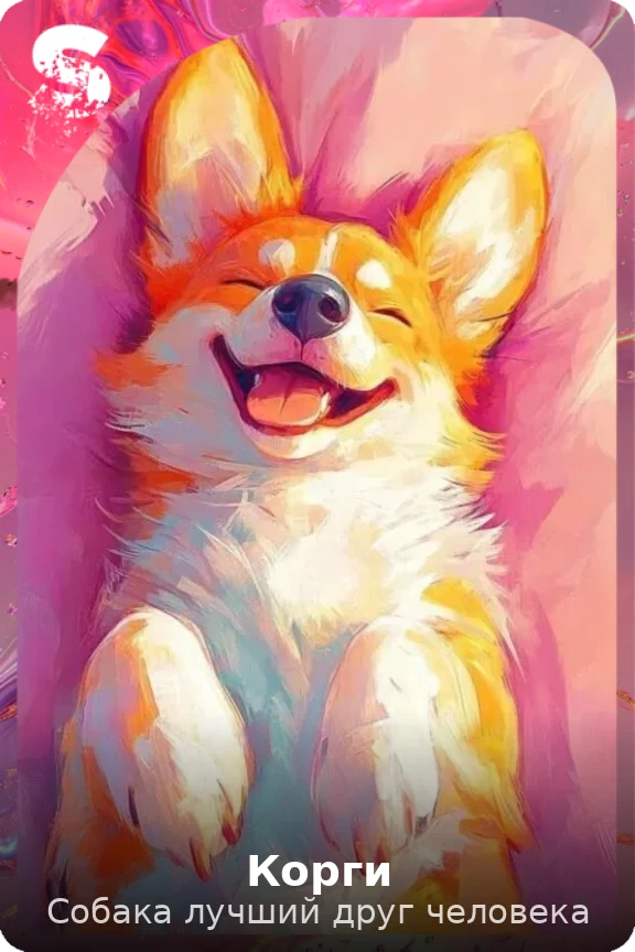 Корги