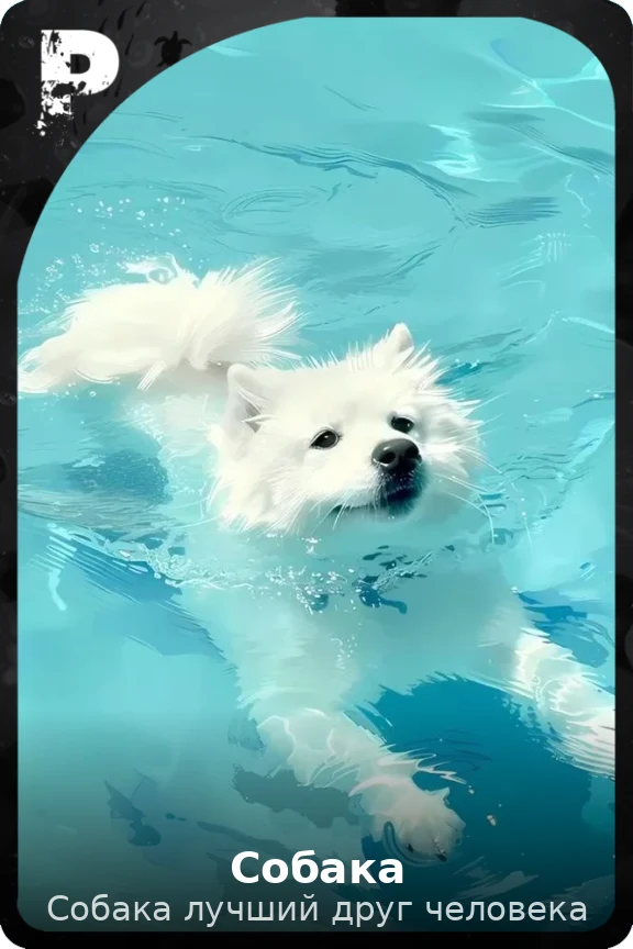 Собака