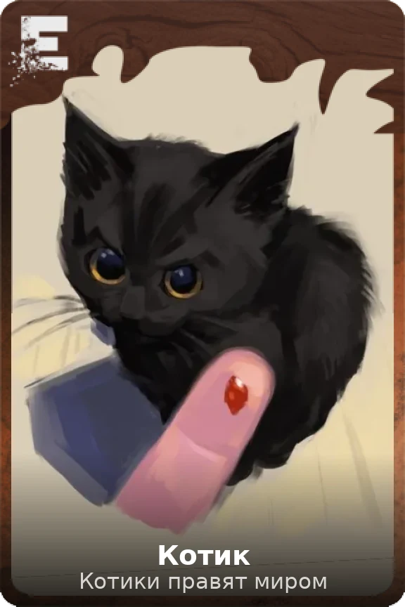 Котик