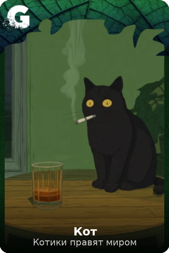 Кот