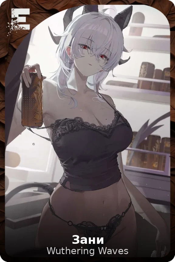 Зани