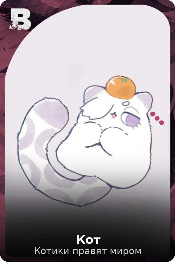Кот