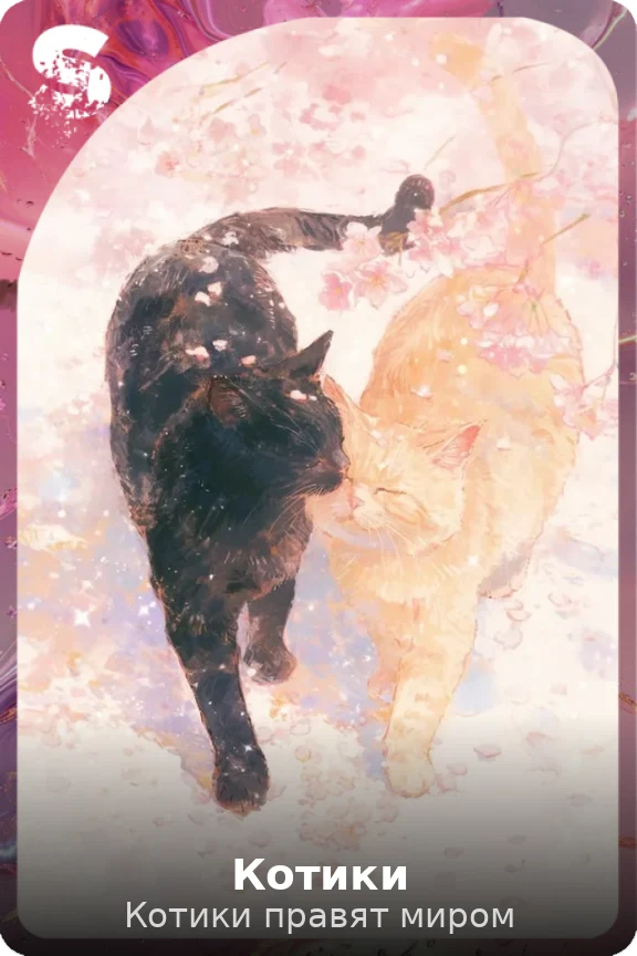 Котики