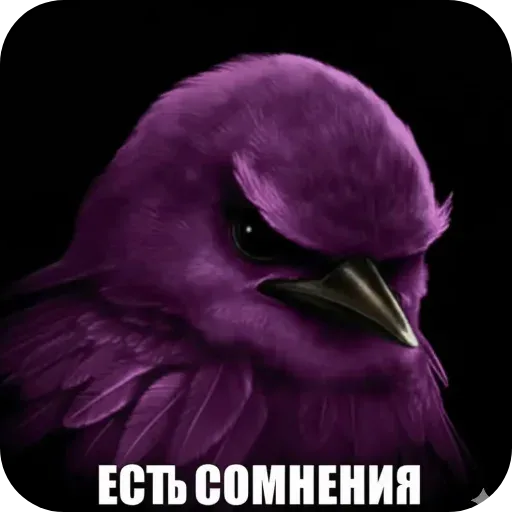 Стикер